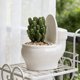thumbnail image 1 of Personalized Toilet-Style Succulents Pots Desktop Plants White Porcelain Pots European-Style Balcony Planting Small Flower Pots, 1 of 6