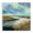 Serene Wetland Horizon Meadow, variant on Stupell Industries Coastal Tranquil Meadow and Wetlands Black Floating Frame Canvas Art, 18 x 18, by Liz Jardine