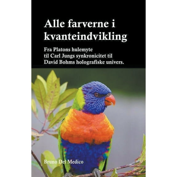 Alle farverne i kvanteindvikling. Fra Platons hulemyte til Carl Jungs synkronicitet til David Bohms holografiske univers, (Paperback)