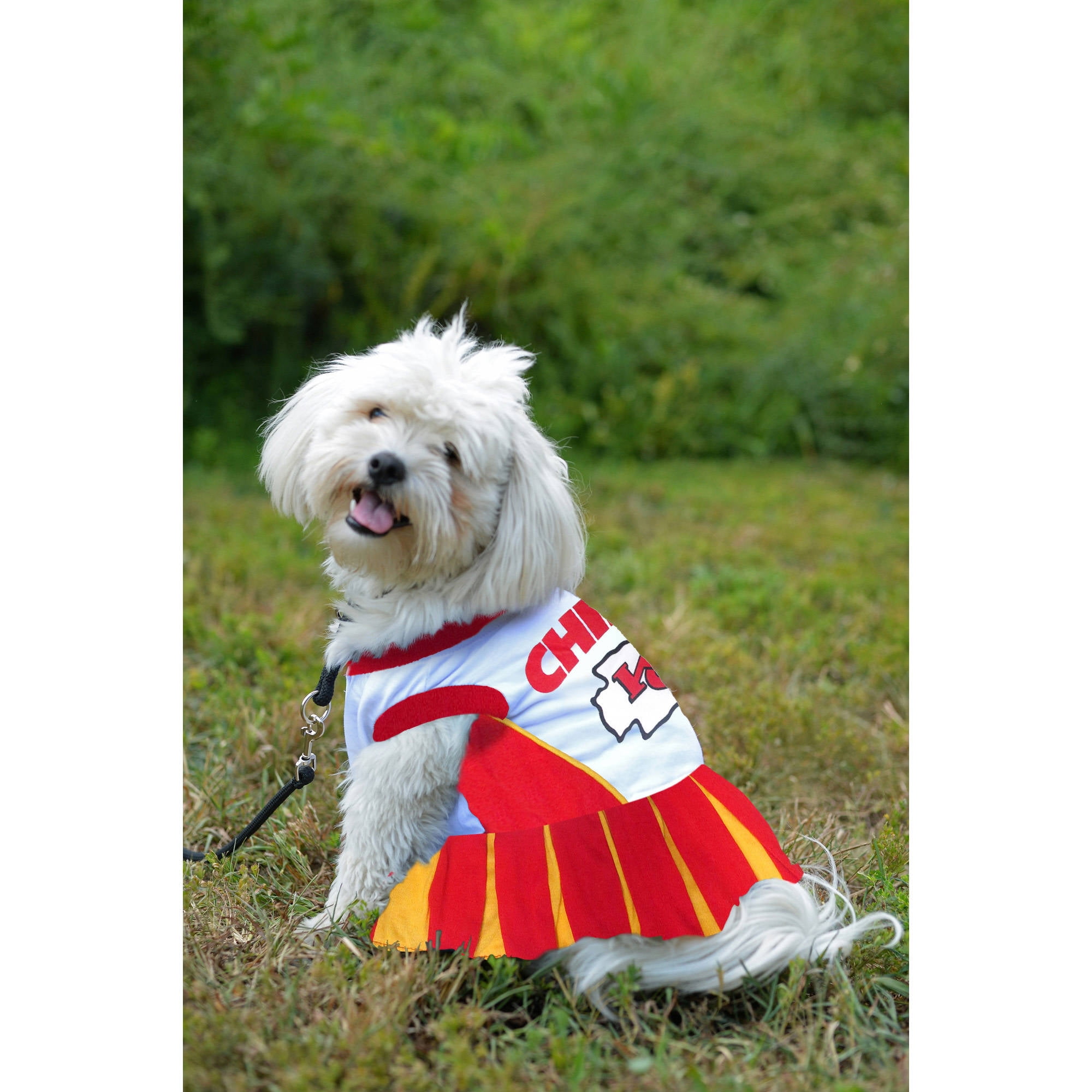 kansas city chiefs dog costume