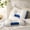 Blue white, variant on 2 Ergonomic Neck Pillows, Breathable, Washable Zip Cover, All-Season Neck Support(blue white)