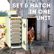 CT180SH Egg Incubator with Automatic Egg Turning & Perfect Humidity Controls, Set & Forget Design, Cabinet Incubators for Hatching Eggs, Incubate and Hatch 180 Chicken Eggs | Hatching Time