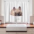 thumbnail image 2 of Bulldog Curtains 2 Panels Set, Canine in a Funny Pose Darling Domestic Pet Photo for Animal Lovers, Window Drapes for Living Room Bedroom, 55W X 39L Inches, Sand Brown Pale Pink Black, by Ambesonne, 2 of 3