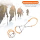 thumbnail image 1 of Crampones De Escalada 6 Stud Climbing Crampons Outdoor Walk Ice Snow Gripper Shoe Covers (Naranja), 1 of 5