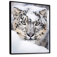 thumbnail image 2 of Designart "A Winter Portrait of a White Tiger I" Animals Floater Framed Wall Art Print, 2 of 7