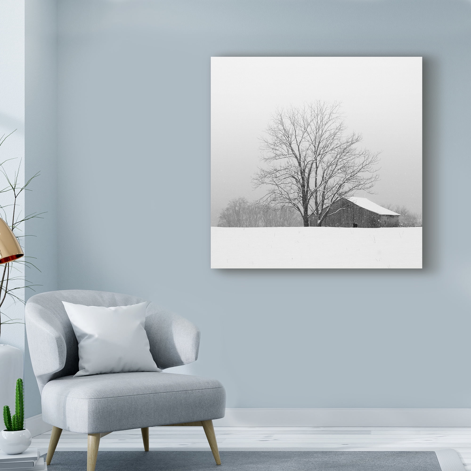 Trademark Fine Art 'Townsend Winter' Canvas Art by Nicholas Bell Photography
