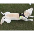 thumbnail image 4 of HAHDAXIA Small Dog Harness,Front Range No-Pull Harness with Handle,3M Reflective Dog Vest Harness,Small,Black, 4 of 7