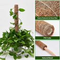 thumbnail image 4 of 6 piezas de musgo para plantas Monstera, hacia arriba, con lazos giratorios y cuerda de yute Afortunado Sencillez, 4 of 5