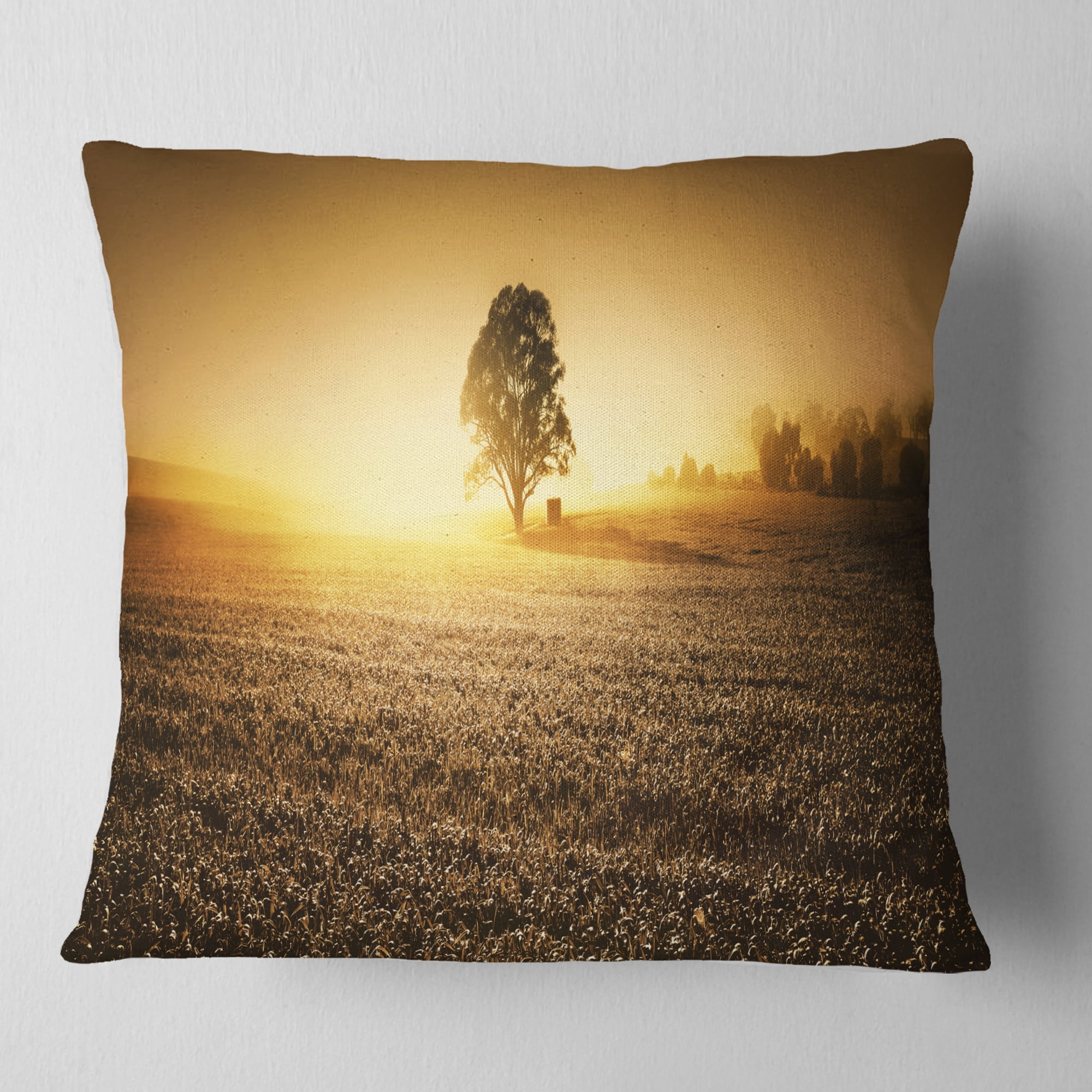 Designart Farmland Panorama - Landscape Photography Throw Pillow - 18x18