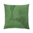 thumbnail image 1 of Ahgly Company Indoor Square Contemporary Throw Pillow, 18 inch by 18 inch, 1 of 5
