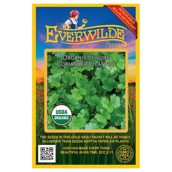Everwilde Farms - 250 Organic Leisure Coriander Cilantro Herb Seeds - Gold Vault Jumbo Bulk Seed Packet