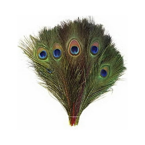 Zucker Feather Products Stem Dyed Mix Peacock Tail Feathers with Full Eyes - Neon