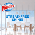thumbnail image 2 of Windex Foaming Glass and Window Aerosol Cleaner 560 g, 2 of 2