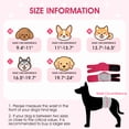 thumbnail image 2 of Kuoser Reusable Dog Diaper, Soft Belly Band with Abdominal Pocket for Male and Female Dogs, Washable Period Diaper for dog, 1 Pack, Rose-red, M, 2 of 8