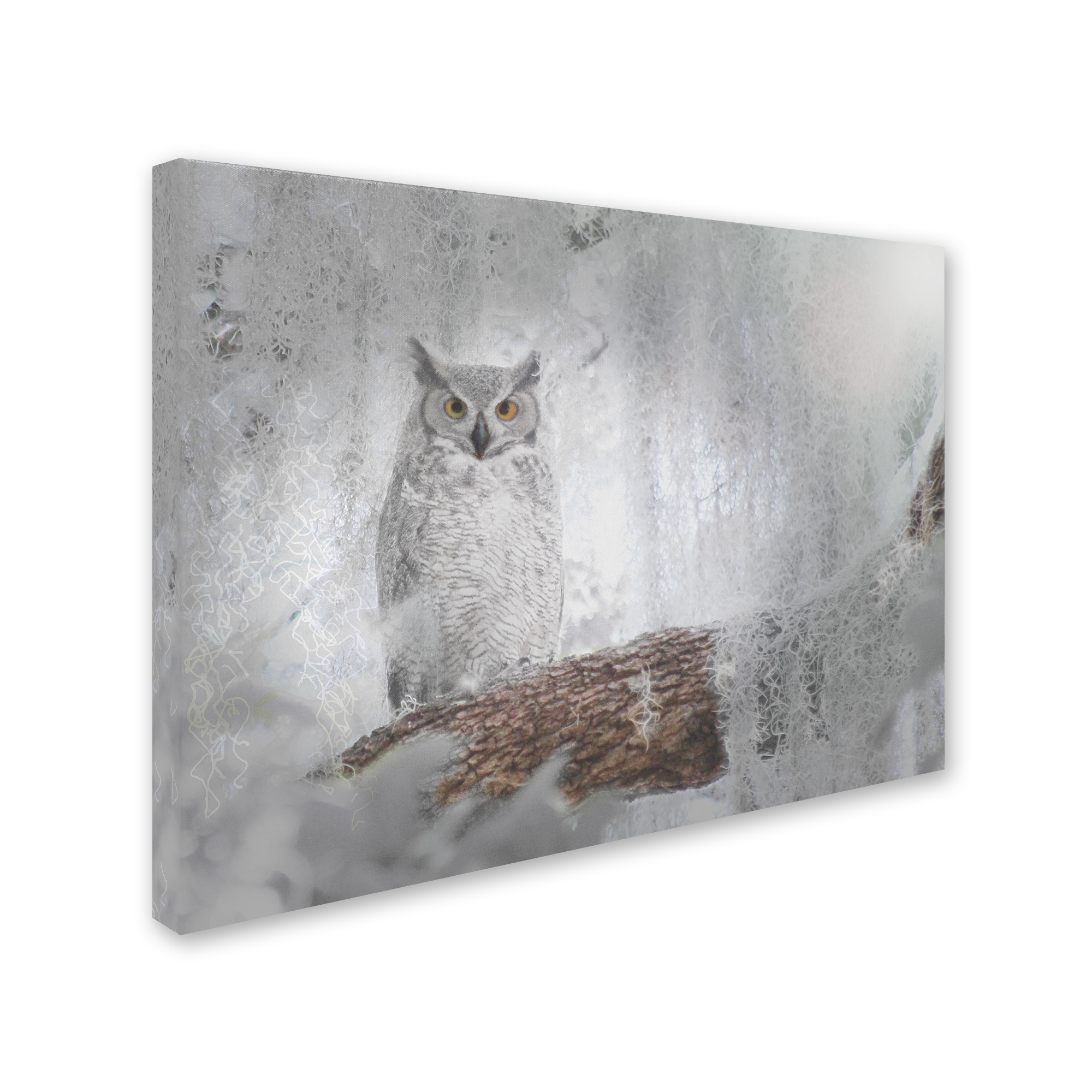Trademark Fine Art 'Owl Dreams' Canvas Art by Patty Tuggle