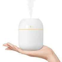 Portable Small Humidifier,USB Personal Desktop Humidifier for Car,Office Room,Bedroom (220ml, White)