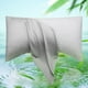 thumbnail image 1 of Funda de almohada ELIBABA Cooling Rayon Bamboo King Size gris claro, 1 of 7