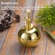 thumbnail image 5 of Wosthever Plantas Jardinería Flor Botella de spray Regadera Estilo de presión Boquilla de nebulización de metal vintage Aspersor Bonsái para el hogar Jardín y Patio Oro Wosthever HA083554-01, 5 of 6
