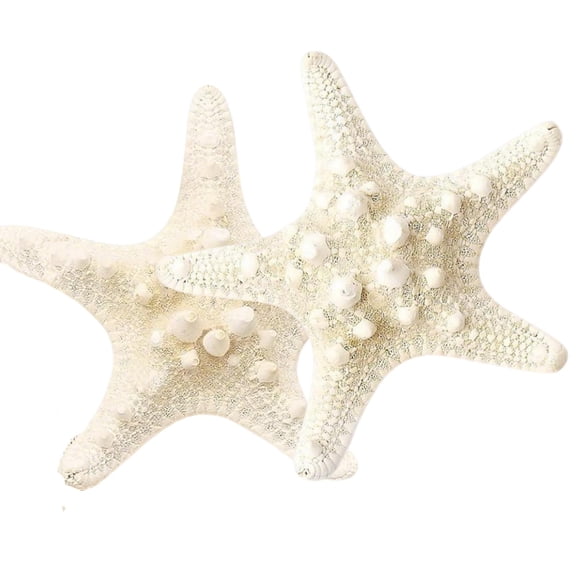 Sinkoo 2pcs Extra Large Starfish for Crafting, 6-8inch Natural Seafish Seashells Starfish Decor Making Beach Theme Party Wedding Decoration, Home Wall Decor, DIY Crafts Supply