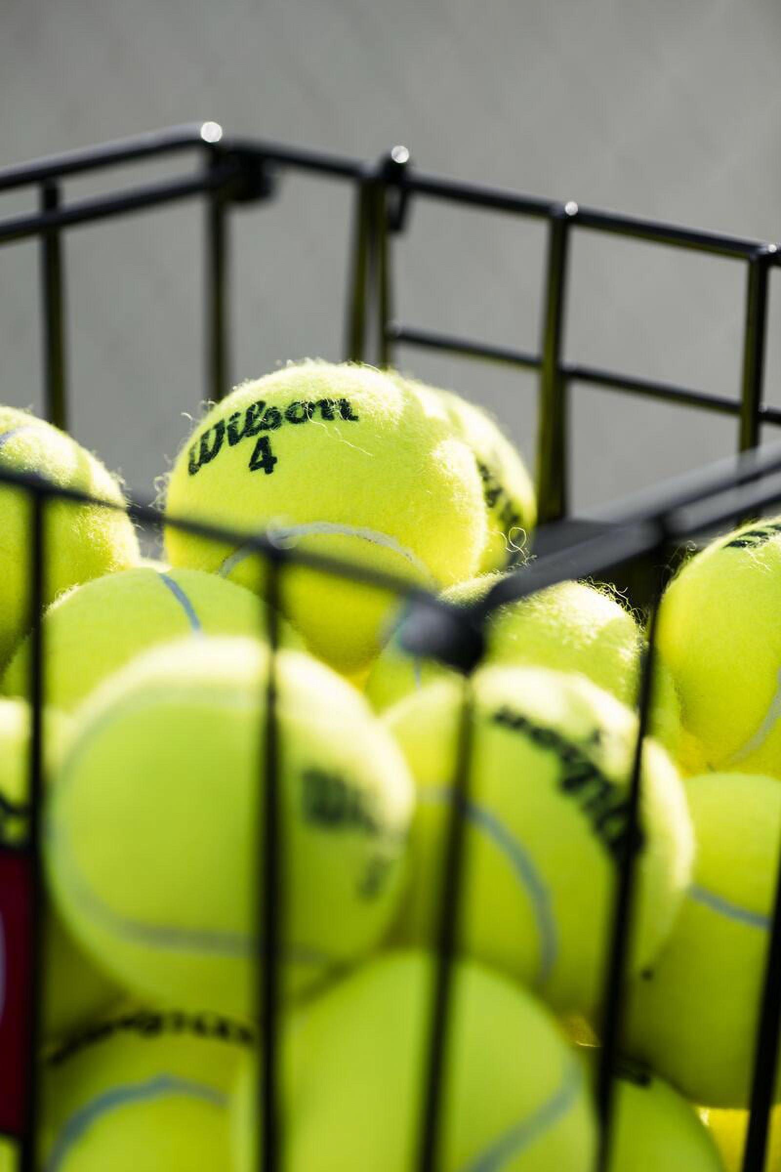 Champion Sports Tennis Balls (3 Pack), (Model: TB3)
