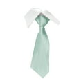 thumbnail image 2 of Riecok Dress Ties for Men Solid Color Classic Woven Formal Men Bowtie Party Wedding Neckwear Mint Green Free Size, 2 of 2