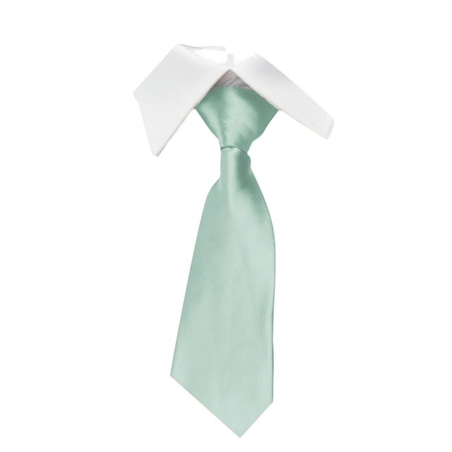 Camisa de vestir de negocios de moda para hombre, corbata de poliéster lisa de 8 cm, corbata de poliéster para hombre