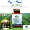 thumbnail image 5 of Rhodiola Rosea Capsules Kosher Vegan Herbal Supplements Brown Glass Bottle (60 Caps) (250 mg), 5 of 7