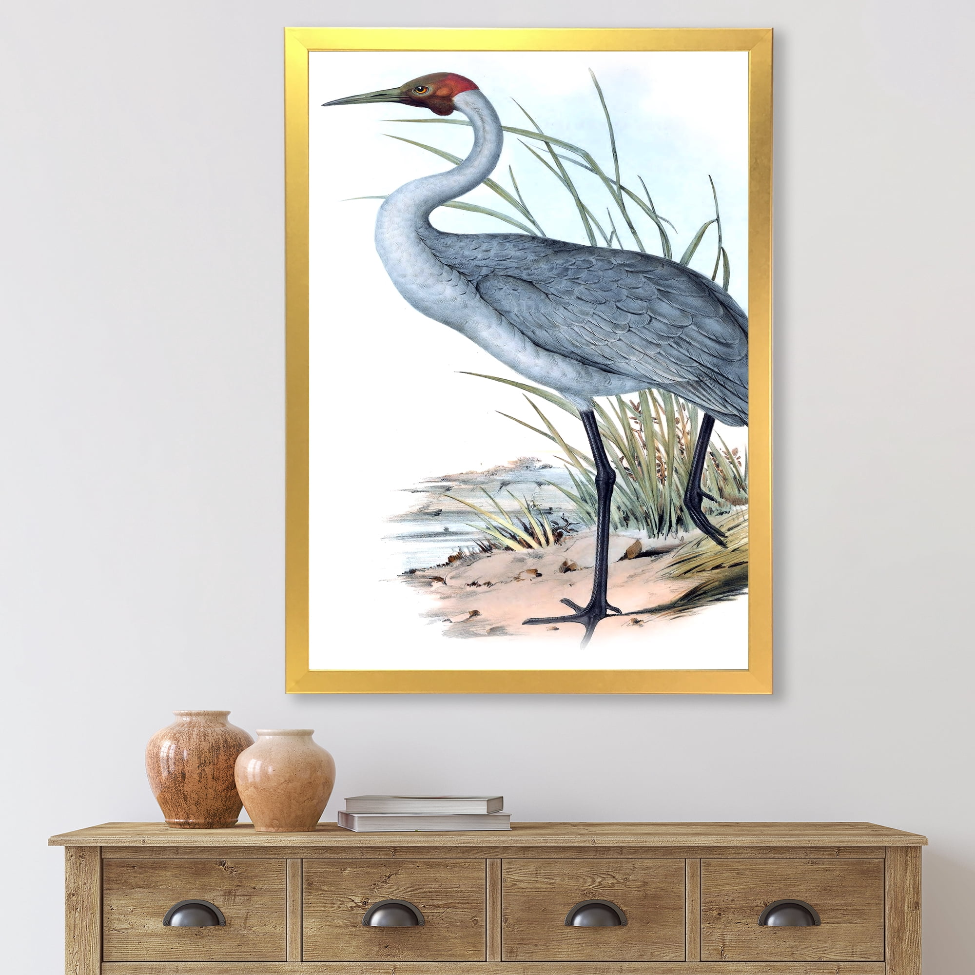 Designart 'Ancient Australian Birds V' Traditional Framed Art Print