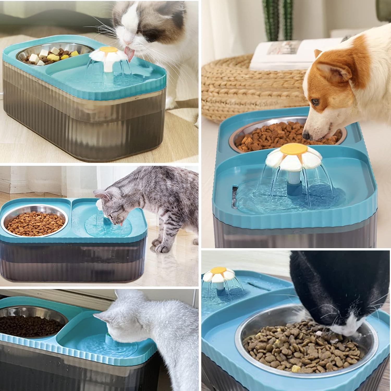 Asivwid Cat Water Fountain and Food Bowl, 3L/101oz Ultra Quiet Pet Water Dispenser with Smart Pump and 3 Replacement Filters, Automatic Flower Fountain & Stainless Steel Bowl for Dog Cat