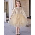 thumbnail image 3 of Arshiner Toddler Girls Dresses Sparkly Tulle Dress Fall winter Velvet Dresses for Toddler, Irregular Tulle and Cute Bowknot Design, Great for Halloween Christmas Holiday Party, 3 of 5
