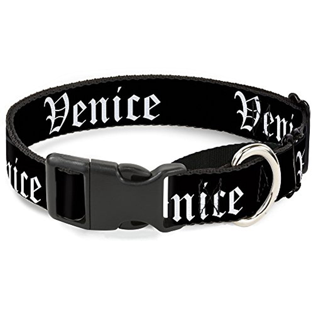 buckle-down venice old english black white martingale dog collar