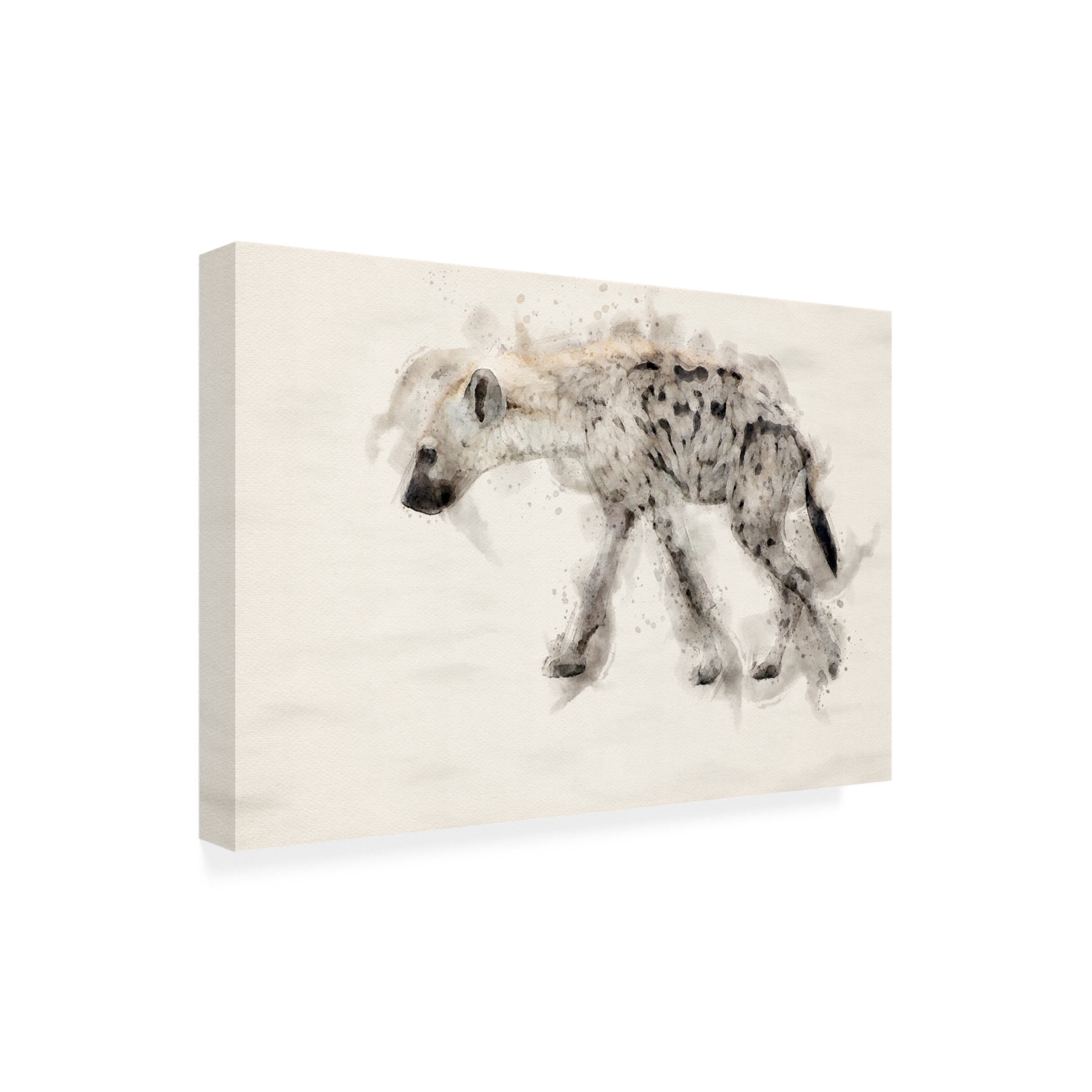 Trademark Fine Art Arno Du Toit Abstract African Hiena Watercolor Art Canvas Wall Art