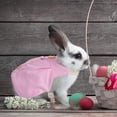 thumbnail image 4 of Conjunto De Ropa De Conejo, Accesorios De Correa Para Mascotas, Conjunto De Disfraces De Animales De Moda Encantadores Serendint PT002497-05, 4 of 6