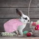 thumbnail image 4 of Conjunto De Ropa De Conejo, Accesorios De Correa Para Mascotas, Conjunto De Disfraces De Animales De Moda Encantadores Kearding PT002497-06, 4 of 6