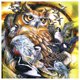 thumbnail image 1 of Taladro Pintura Diamante (DE3093) 5D DIY Grupo Completo de Aves Kits de Bordado de punto de Cruz 20X30cm Hugtrwg Para estrenar, 1 of 1