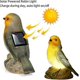 thumbnail image 4 of 2024,2 Pack Solar Powered Bird Shaped Led Solar Lights Garden Decor Waterproof Outdoor Yard Lights, 4 of 4