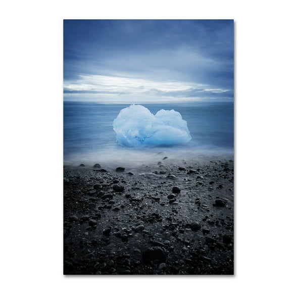 Trademark Fine Art 'Cotton Blue' Canvas Art by Philippe Sainte-Laudy