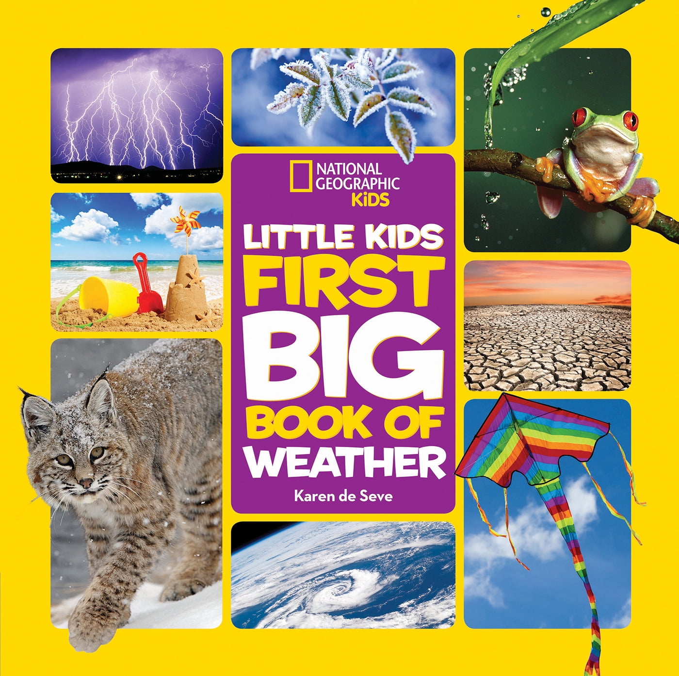 National Geographic Little Kids First Big Book of Why: Questions