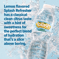 thumbnail image 5 of Splash Lemon Flavored Water, 16.9 fl oz, 6-Pack Plastic Bottles, 5 of 8
