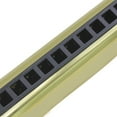 thumbnail image 2 of 10 Holes 20 Tone G Key Harmonica Blues Musical Instrument Diatonic Harp with Storage Box Gold, 2 of 7