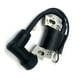 thumbnail image 1 of Riwesomey Máquina de bobina de encendido para cortacésped de jardín, accesorios de repuesto para motor de cortacésped Mountfield RM55/RM65/SP474 Jardín y Patio Riwesomey TO001398-00, 1 of 6