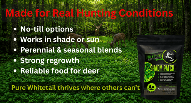 Pure Whitetail Shady Patch forage Plant Seeds, Low Light