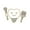 B, variant on Cartoon Oral Health Enamel Pin Funny Tooth Shape Brooch Dentist Lapel Badge Coat Bag Accessories Jewelry Gift