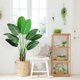 thumbnail image 4 of QinaQin Planta artificial Ave del Paraíso de 48 pulgadas con maceta, hojas tipo plátano para decoración de sala, oficina o interior, 4 of 7