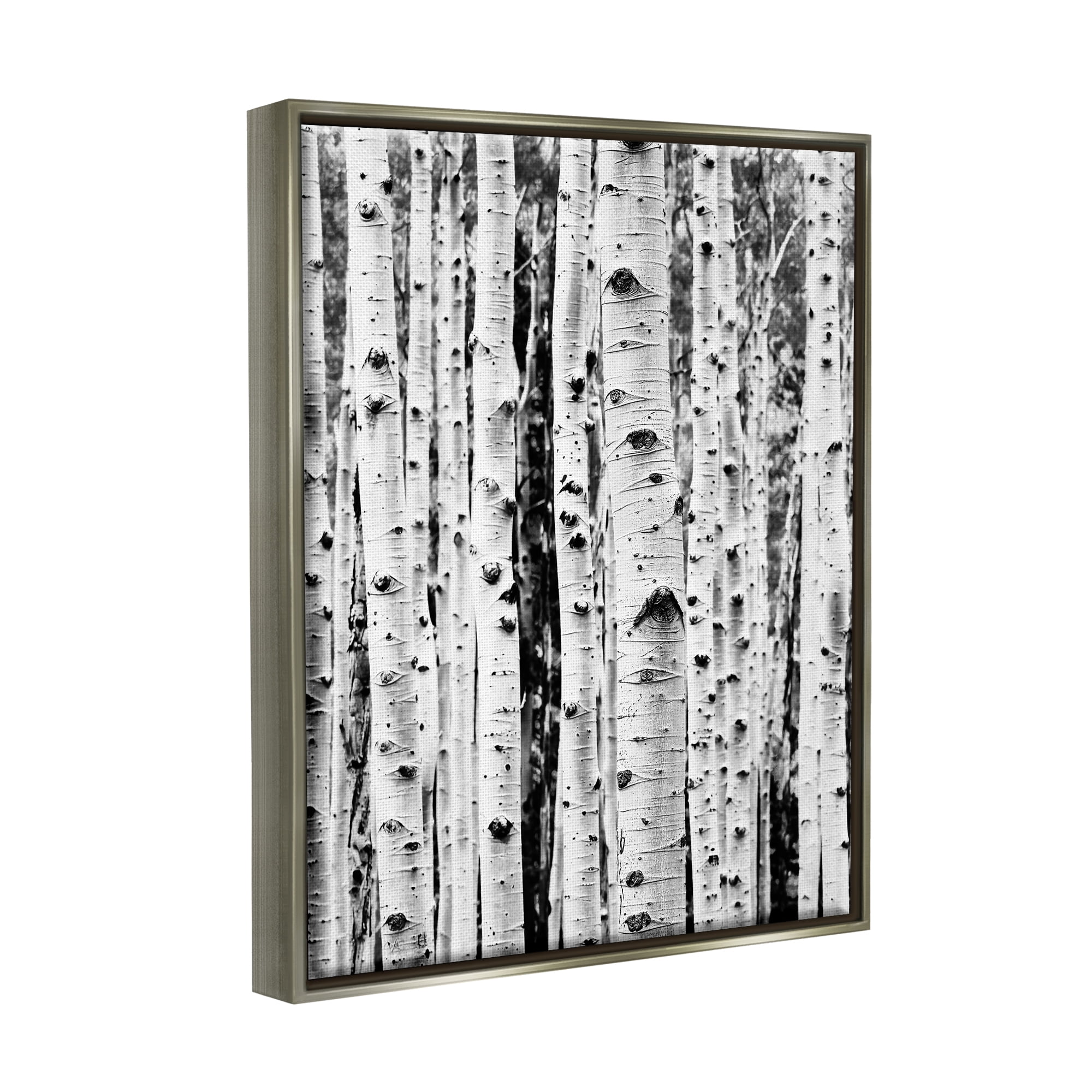 Stupell Industries Birch Trees Forest Nature Photography Gray Floater Framed Art Print Wall Art, 25 x 31