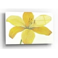 thumbnail image 1 of Epic Art 'Citron Tiger Lily II' by Tim O'Toole, Acrylic Glass Wall Art, 16"x12", 1 of 3