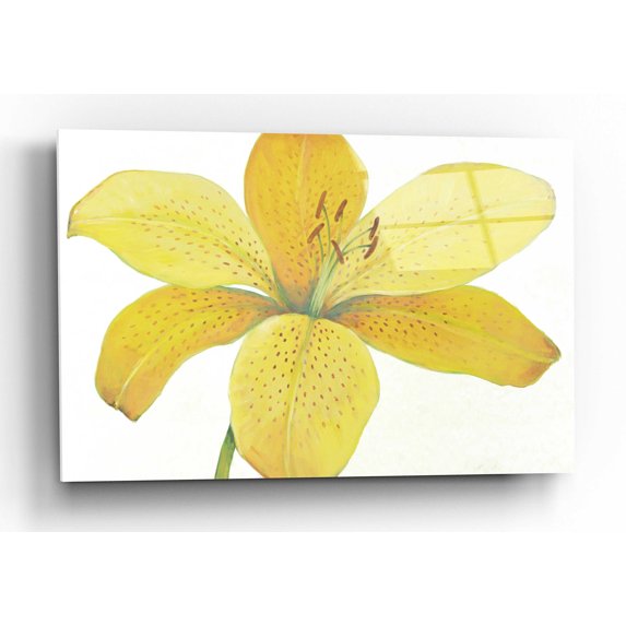 Epic Art 'Citron Tiger Lily II' by Tim O'Toole, Acrylic Glass Wall Art, 16"x12"