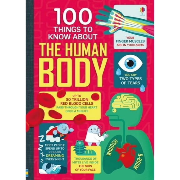 100 Things to Know about 100 Things to Know about the Human Body, (Hardcover)