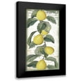 thumbnail image 1 of Sophie 6 14x24 Black Modern Framed Museum Art Print Titled - Citron I, 1 of 5