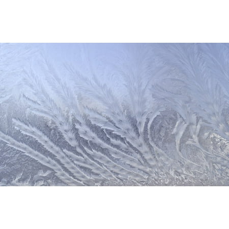 - LAMINATED POSTER Winter White Frost Icy Design Pattern Frozen Ice Poster Print 24 x 36